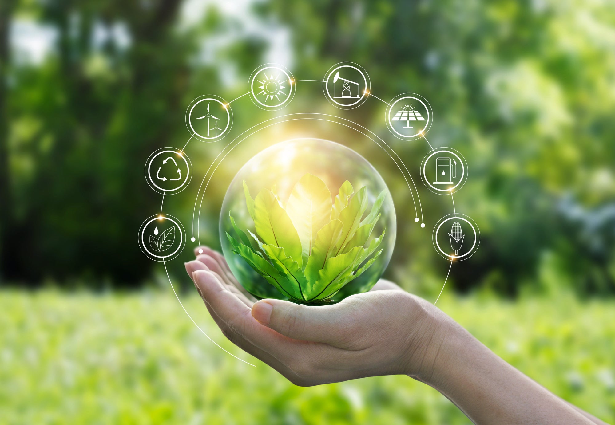 xSuit Puts the Environment First with an Innovative Sustainable Approach to Fashion Design and Production - XSuit