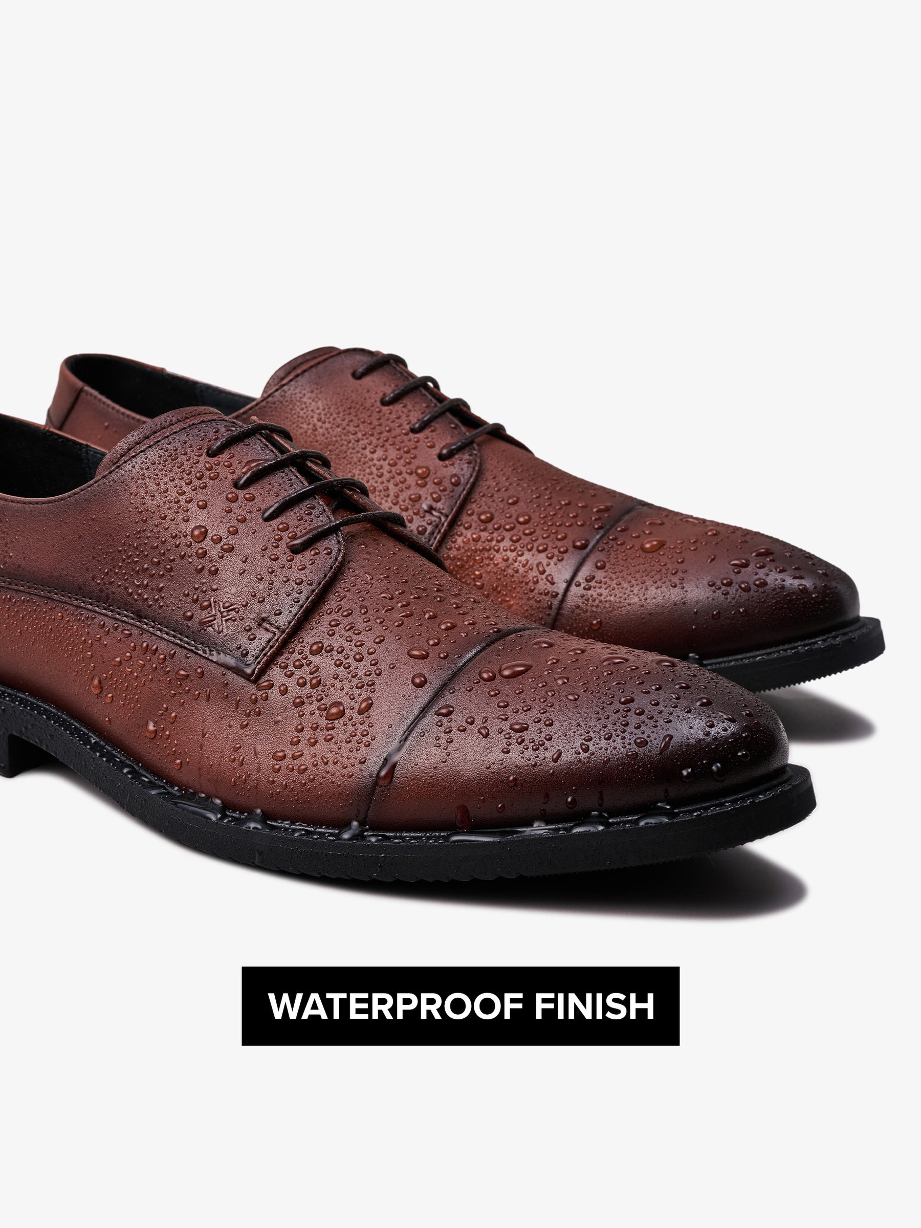 xShoe Oxford - Brown